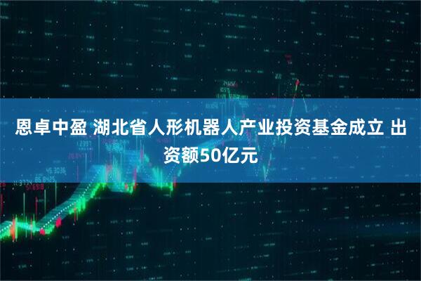 恩卓中盈 湖北省人形机器人产业投资基金成立 出资额50亿元
