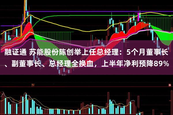 融证通 苏能股份陈创举上任总经理：5个月董事长、副董事长、总经理全换血，上半年净利预降89%