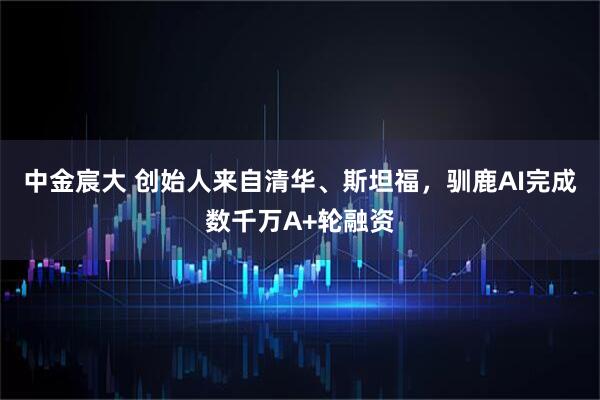 中金宸大 创始人来自清华、斯坦福，驯鹿AI完成数千万A+轮融资