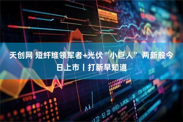 天创网 短纤维领军者+光伏“小巨人” 两新股今日上市丨打新早知道